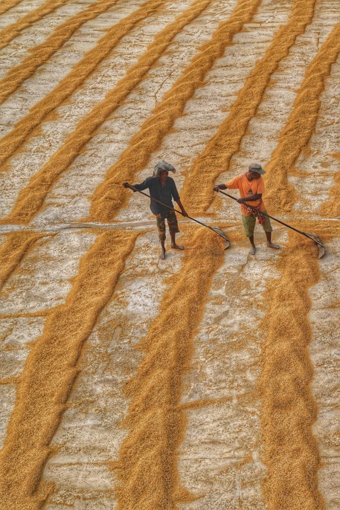 KwaNALU farming crisis – Farmers in KwaZulu-Natal struggle
